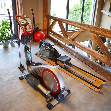 Maifelder Wellness Loft In Gappenach